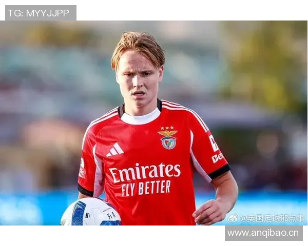 本菲卡计划冬窗出售施耶尔德鲁普目标转会费2500万欧元